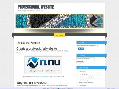 professionalwebsite.n.nu