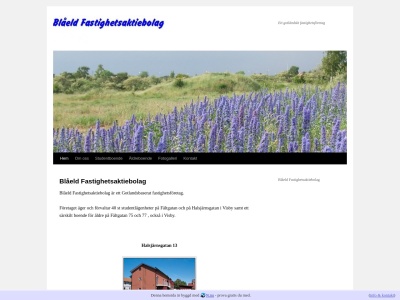 www.blaeldfastighet.se