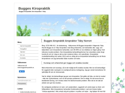 www.buggeskiropraktik.se