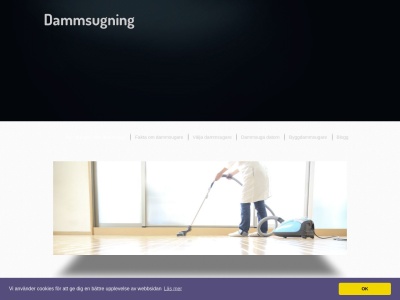 www.dammsugning.net