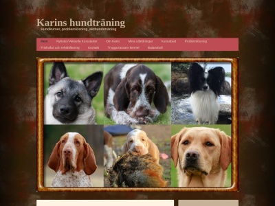 www.karinshund.n.nu
