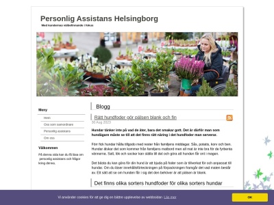 www.personligassistanshelsingborg.com