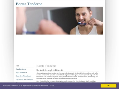 www.borstatänderna.se