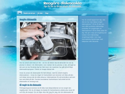 www.rengöradiskmaskin.se